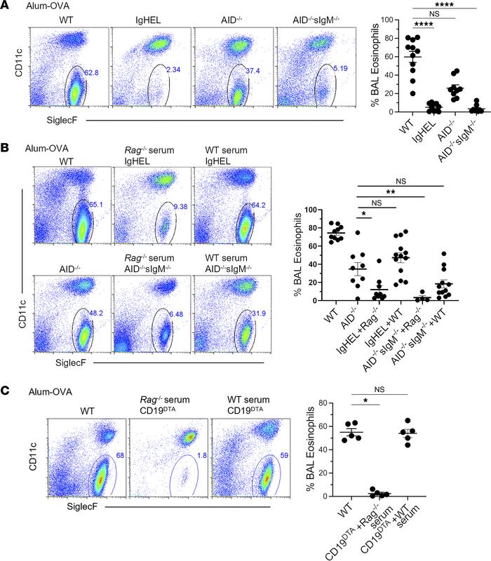Natural antibodies play a critical role in the induction of DAMP-driven ...