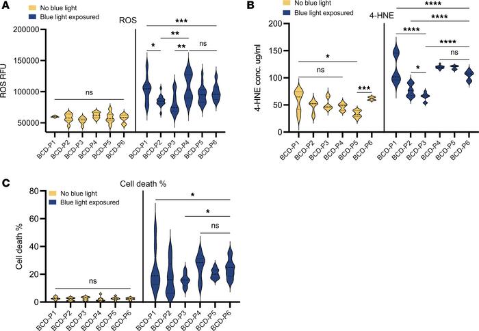 Significant cellular phenotype differences can be observed in iRPE cells...