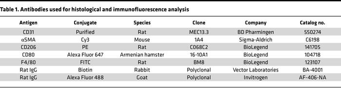 Antibodies used for histological and immunofluorescence analysis