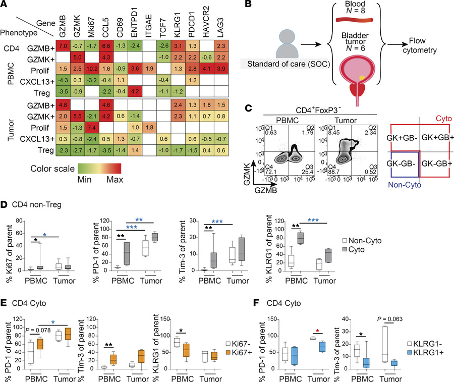 Expression of proliferative and inhibitory markers on cytotoxic versus n...