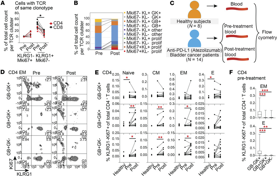 Anti–PD-L1 treatment increased Ki67 and decreased KLRG1 expression on cy...