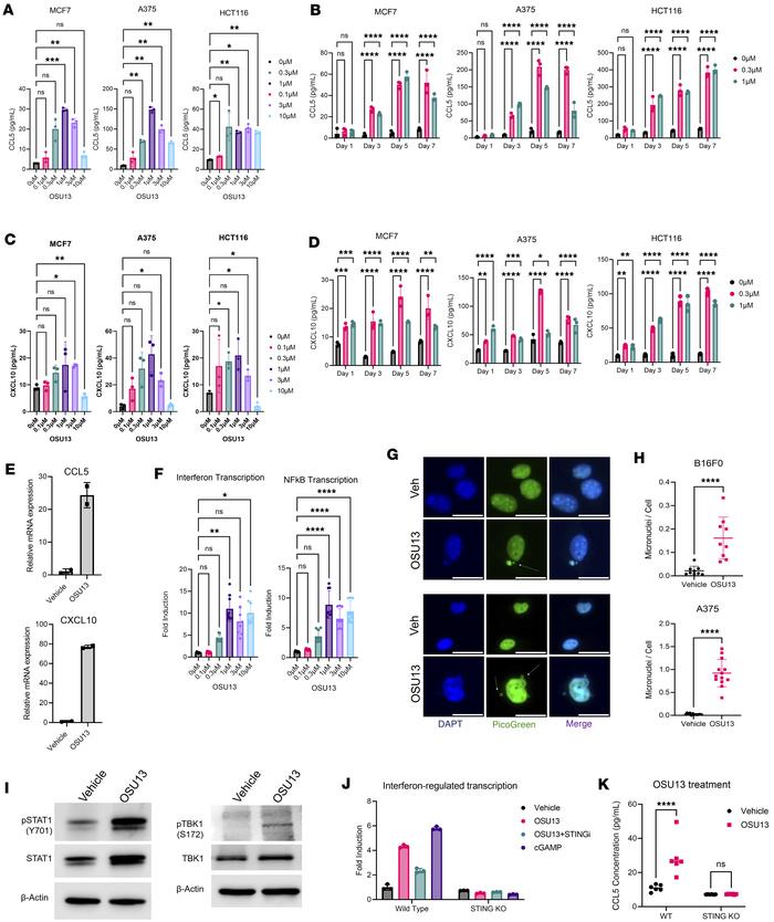 OSU13 induces inflammatory chemokines and transcription factors in a STI...