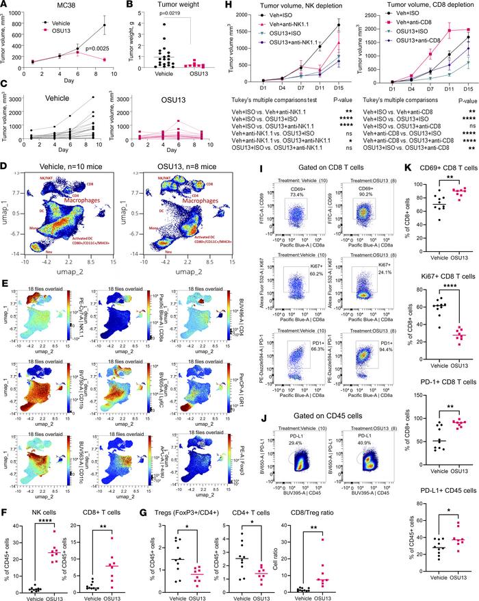 OSU13 inhibits tumor growth and increases tumor immune infiltrate.
(A) G...