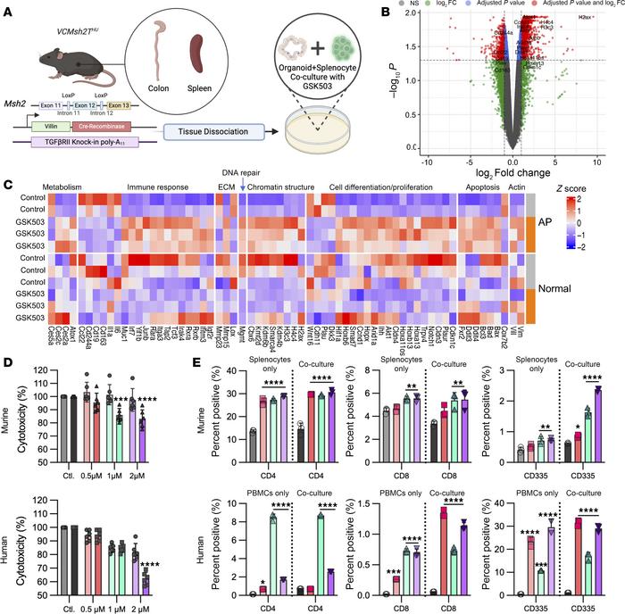 Inhibition of Ezh2 enhances in vitro cytotoxic immune cell–mediated kill...