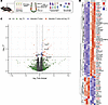 Inhibition of EZH2 increases expression of immune regulatory pathways in VC