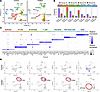 Inhibition of EZH2 increases immune cellularity in VCMsh2THu crypts.