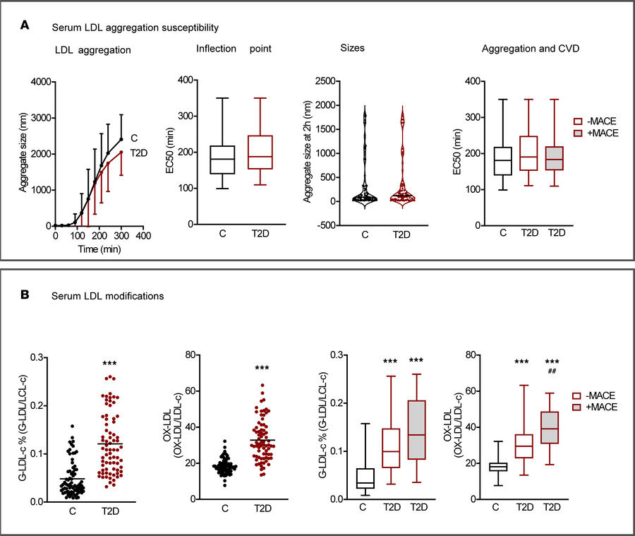 Serum LDL aggregation susceptibility and LDL modifications.
(A) Serum LD...