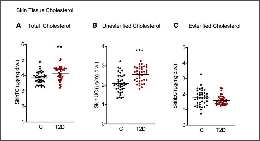 Skin tissue cholesterol.
(A) Total cholesterol. (B) Unesterified cholest...