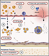 Influence of T2D on response to retention.