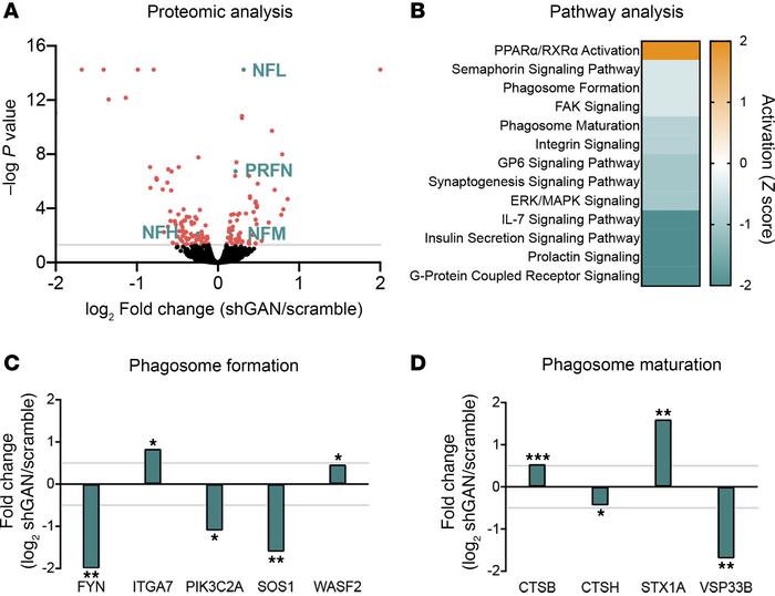 Mass spectrometry–based proteomic analysis of dorsal root ganglia (DRG) ...
