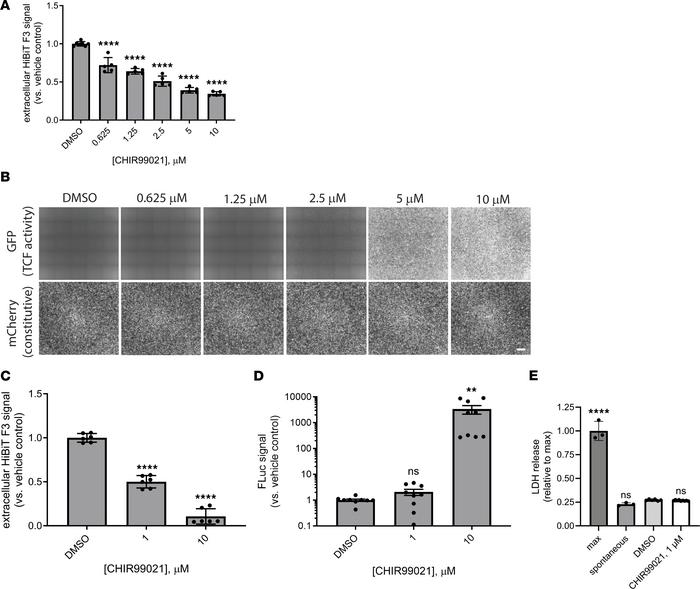 Low-level, prolonged CHIR99021 treatment reduces F3 production while avo...