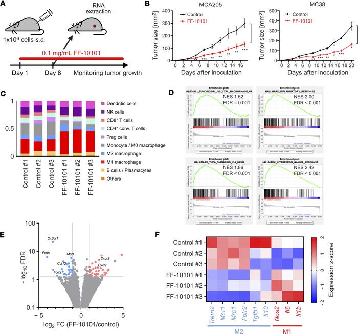 FF-10101 inhibits tumor growth by polarizing TAMs toward M1-like macroph...