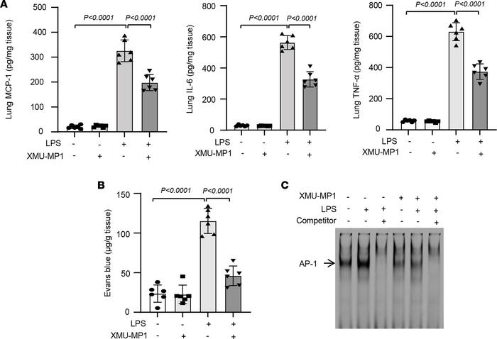 Pharmacological pretreatment to inhibit Mst1 attenuates LPS-induced lung...