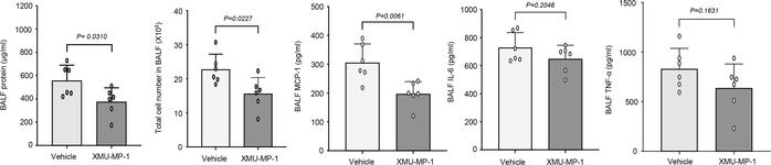 Therapeutic effect of Mst1 inhibitor on ALI in mice.
C57BL/6J mice (8–12...