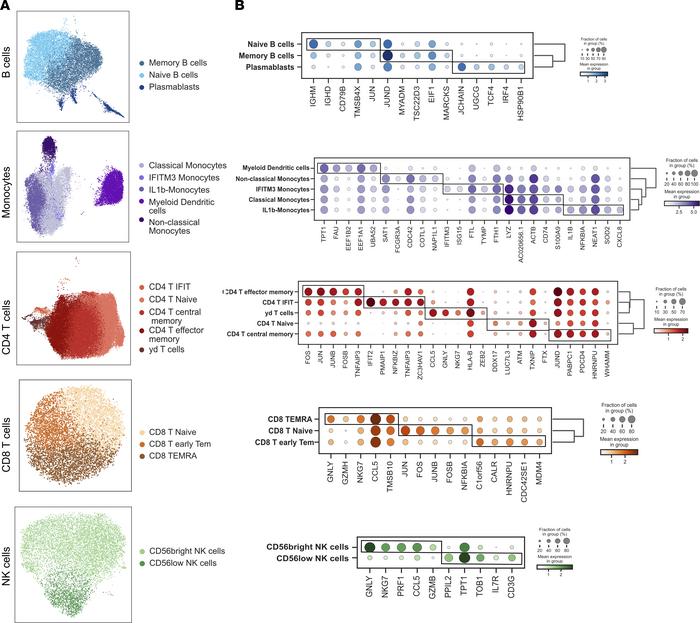 Cell subsets and top marker genes identified in Wilcoxon rank sum.
(A) U...