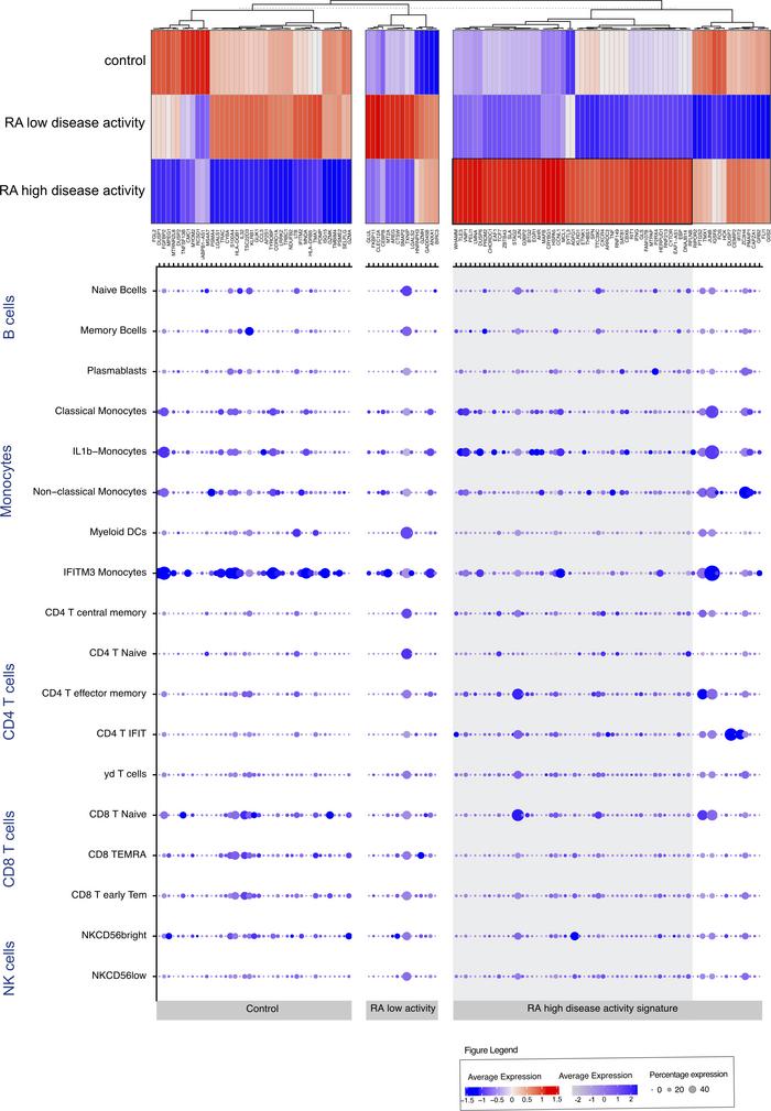 Gene signature associated with disease activity and percentage of expres...