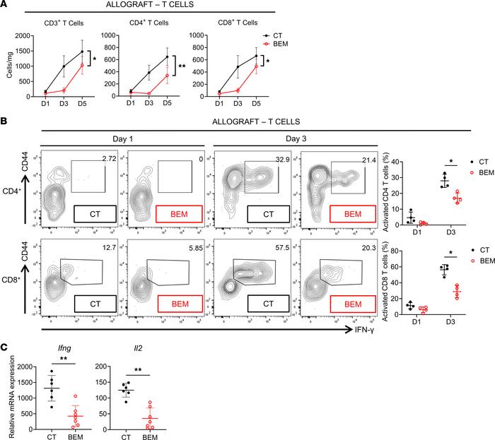 Transient AXL inhibition leads to a reduction in early adaptive alloimmu...