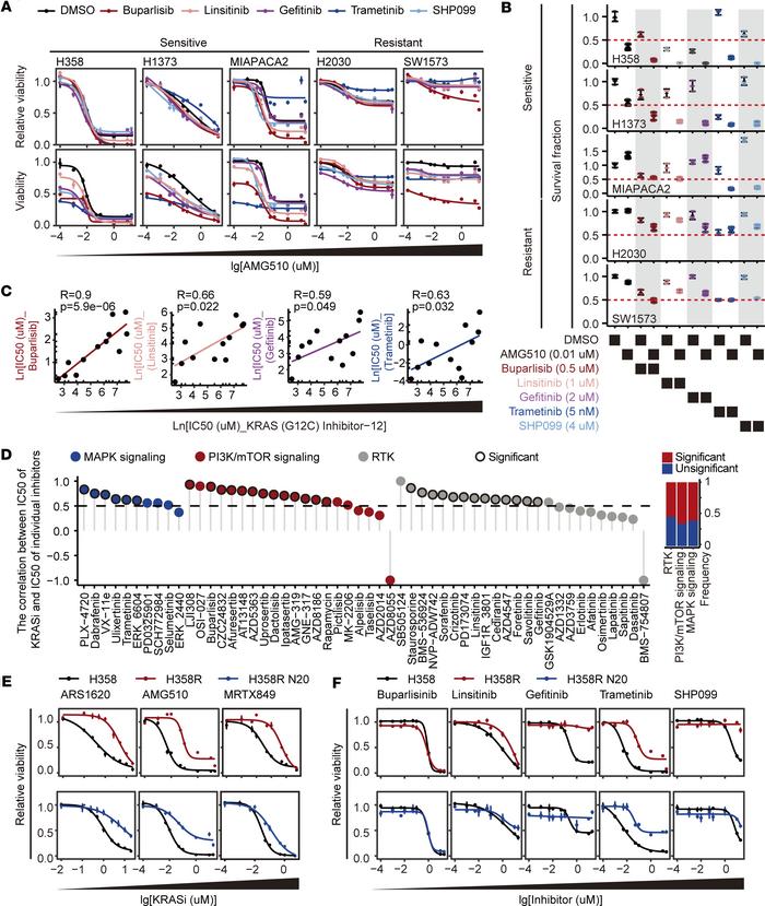 Cancer cells resistant to KRAS G12C inhibitors also display cross-resist...