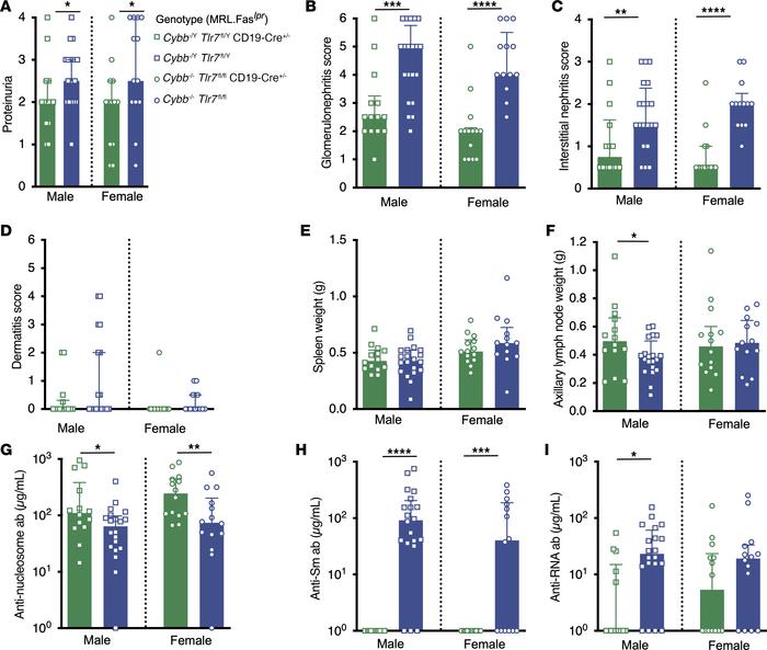 
Tlr7 deletion in B cells ameliorates nephritis and alters the autoantib...