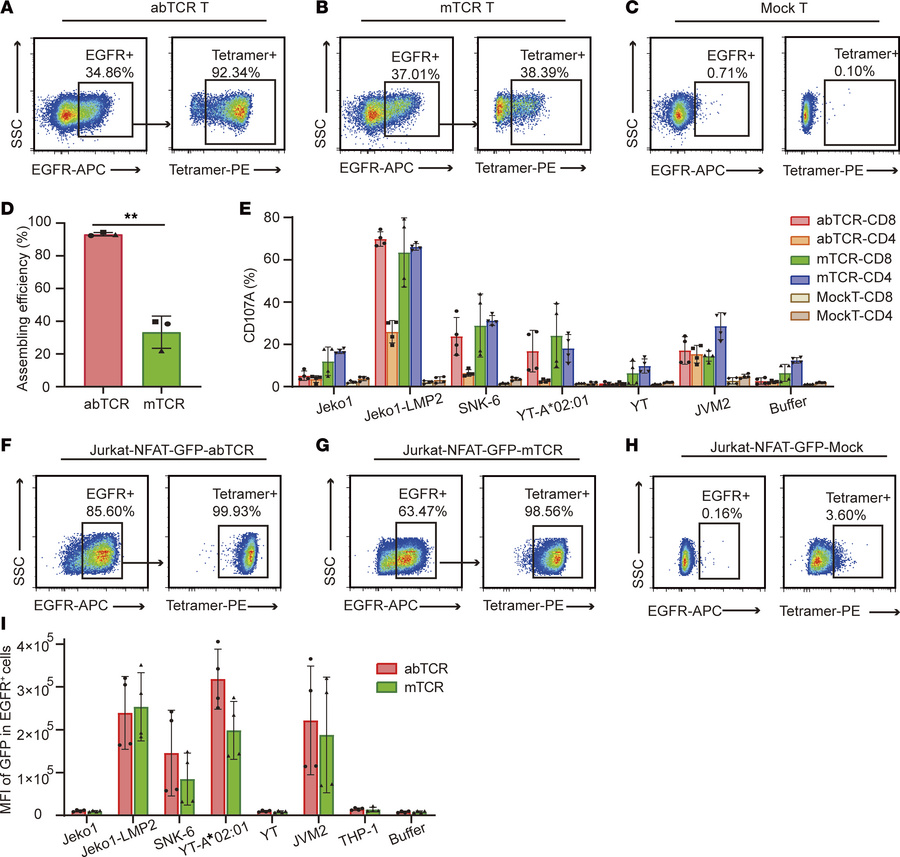 The comparison between abTCR and mTCR.
(A–C) Representative plots showin...