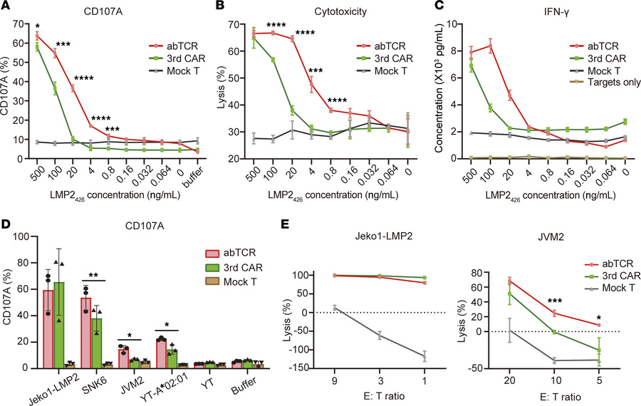 Comparing the functionality of abTCR T cells and 3rdCAR T cells.
(A) CD1...