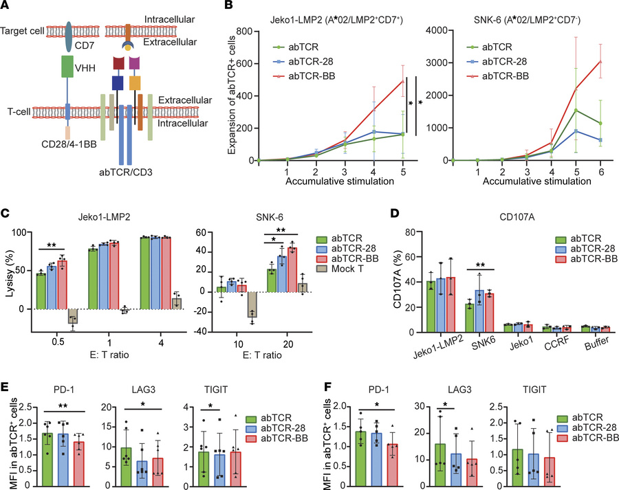 Optimization of abTCR T cells.
(A) Schematic diagram of optimized abTCR ...