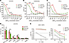 Comparing the functionality of abTCR T cells and 3rdCAR T cells.