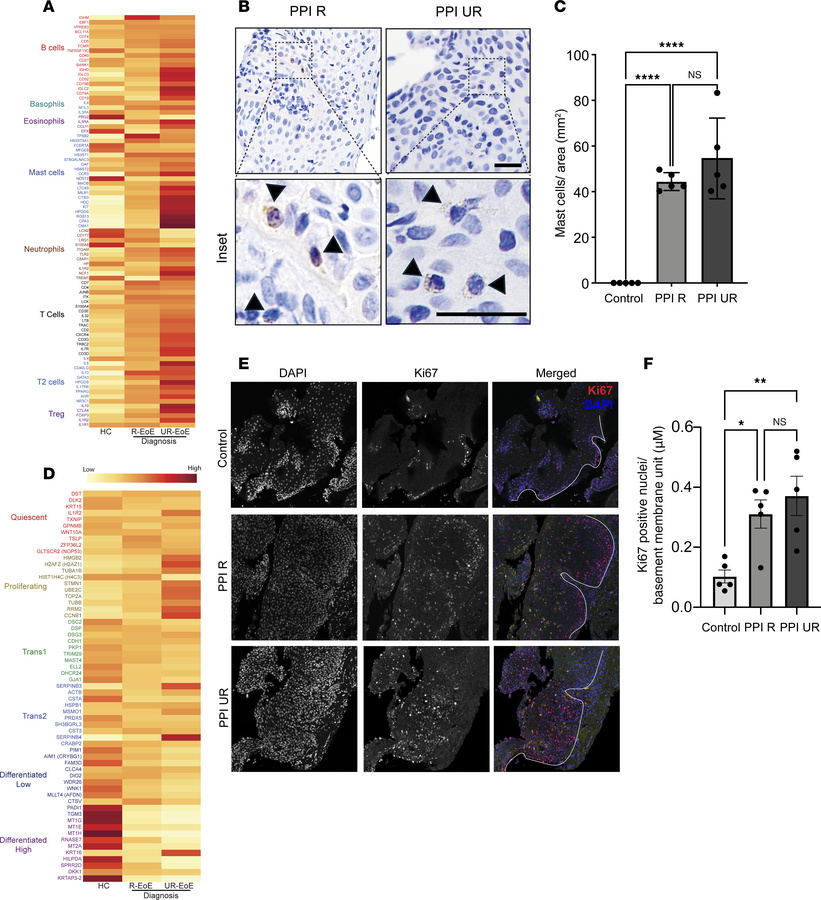 Hematopoietic and esophageal epithelial transcriptomes in PPI-R and PPI-...