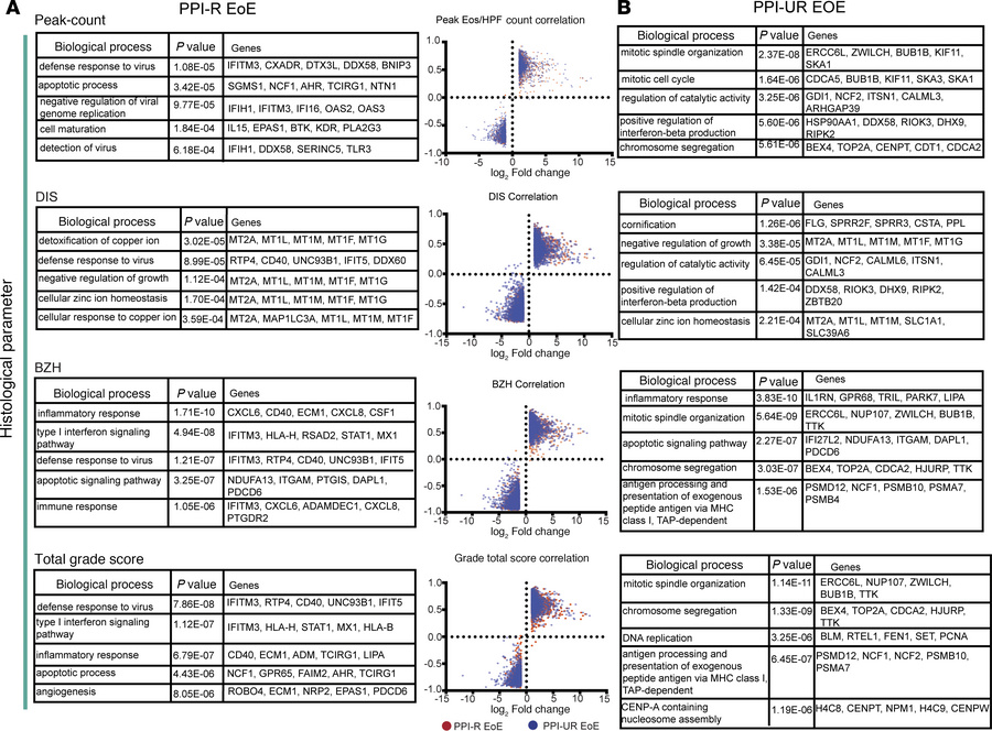 Relationship between gene expression and endoscopic severity in PPI-R an...