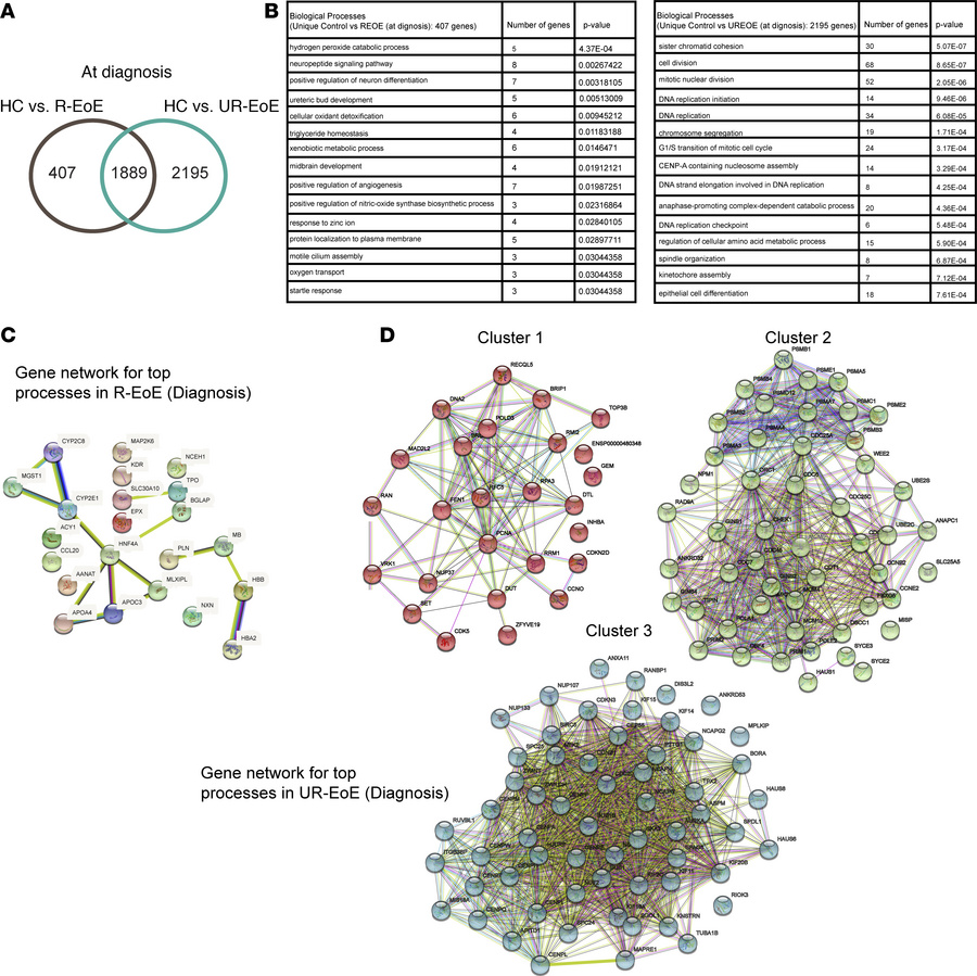 Common and unique transcriptome network and pathways between PPI-R and P...