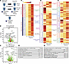 RNA-Seq analysis of PPI-R and PPI-UR patients with EoE at diagnosis.