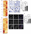 Hematopoietic and esophageal epithelial transcriptomes in PPI-R and PPI-UR