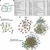 Common and unique transcriptome network and pathways between PPI-R and PPI-