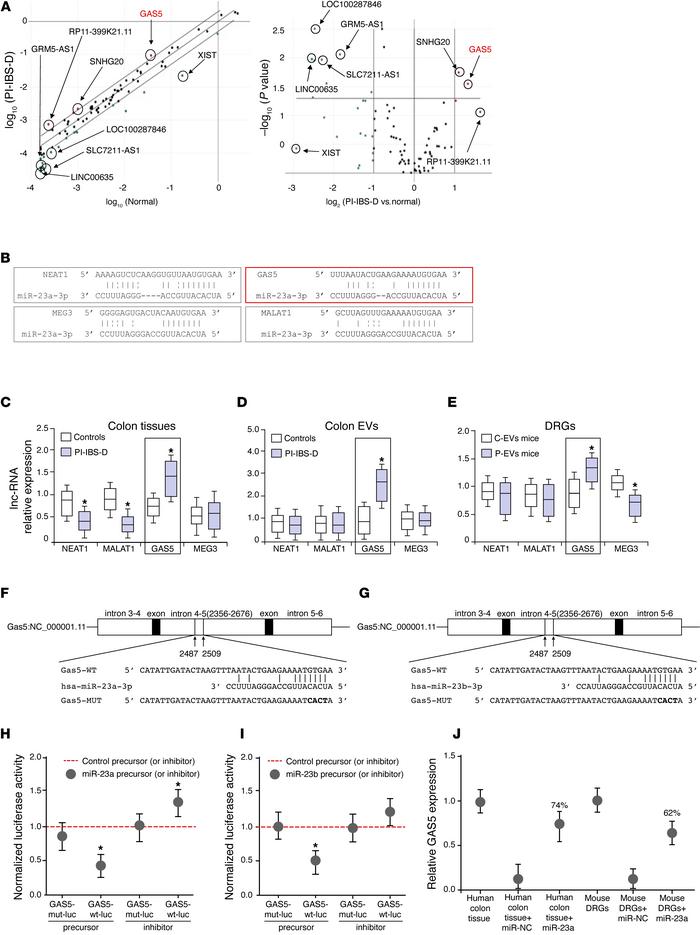lncRNA GAS5 contributes to visceral nociception through interactions wit...