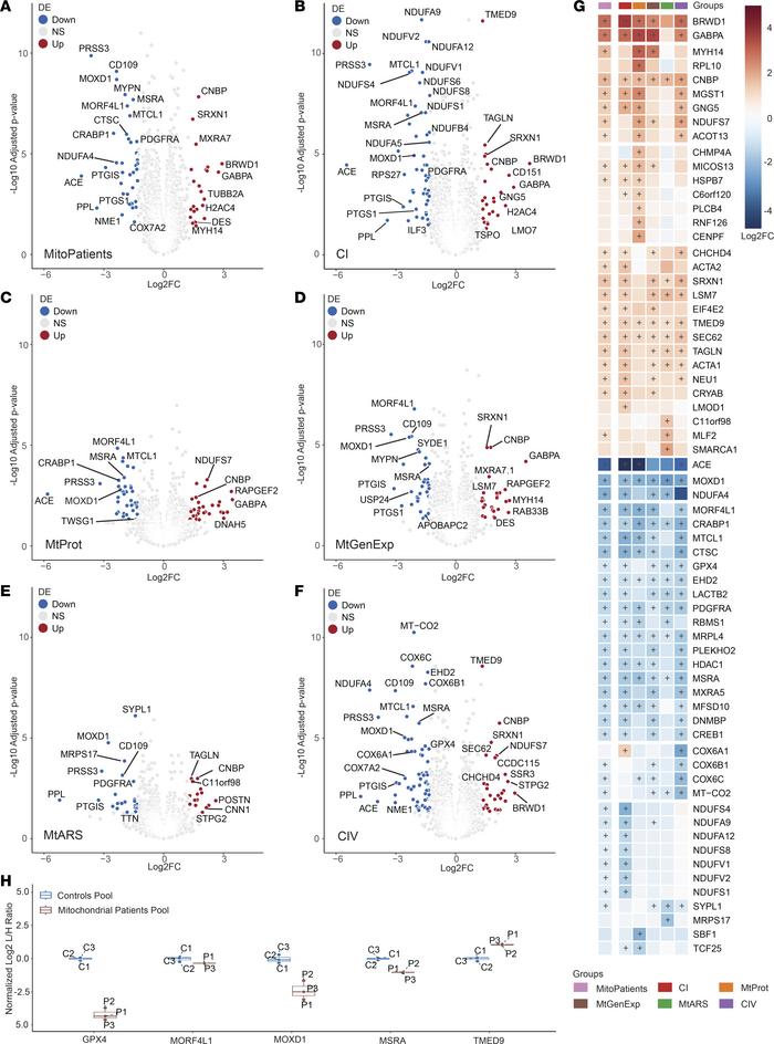 Differential expression analysis reveals biomarkers of mitochondrial dis...