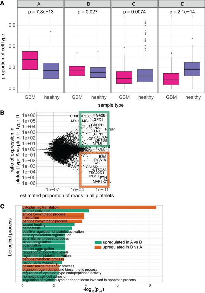 Features of platelets found in controls and patients with GBM.
(A) Box p...