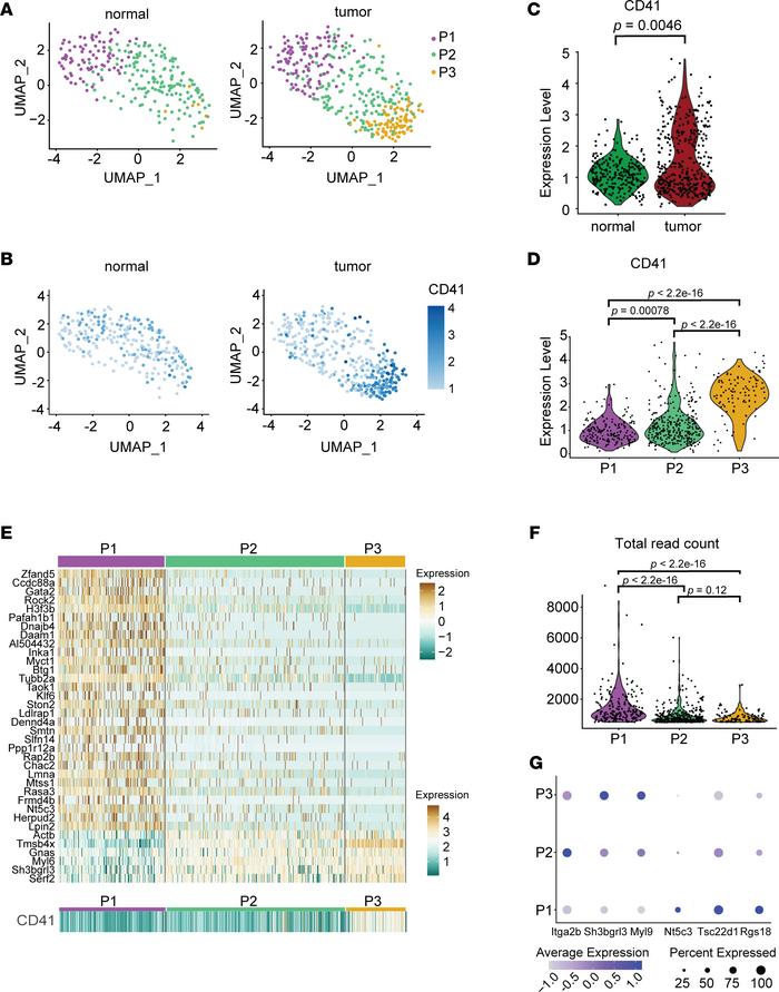 Analysis of CITE-Seq data from mouse platelets.
(A) Uniform manifold app...