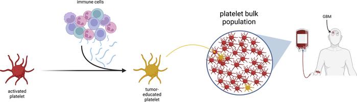 graphical abstract