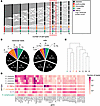 Deconvolution of the platelet transcriptome using CDSeq.