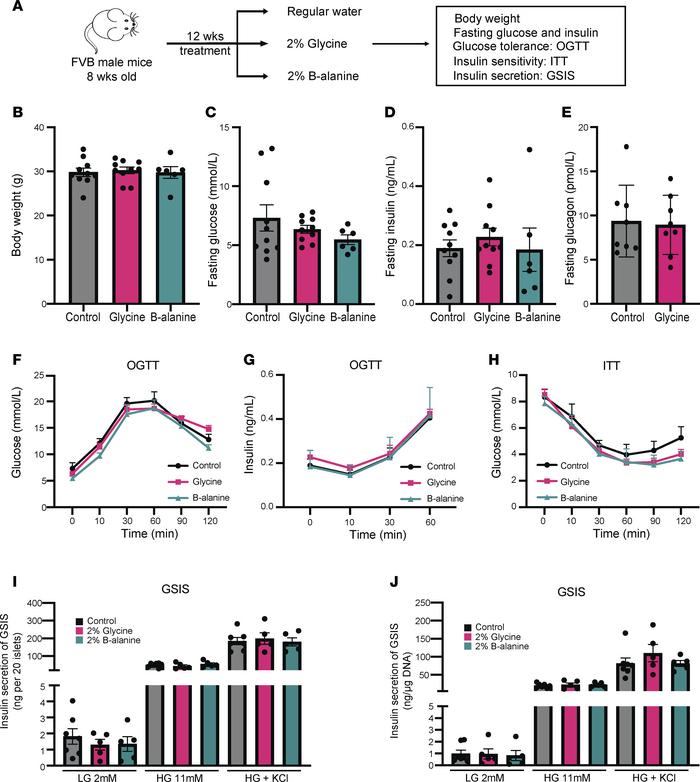 Glycine and β-alanine administration did not influence glucose homeostas...