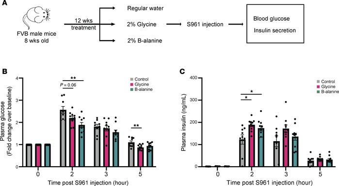 Improved glucose tolerance and insulin secretion in S961-induced transie...