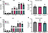 Glycine and β-alanine treatment had no effect on glucose-stimulated insulin