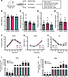 Glycine and β-alanine administration did not influence glucose homeostasis
