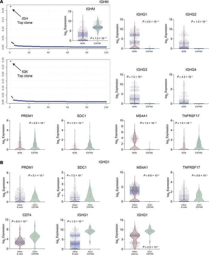 Single-cell B cell receptor gene sequencing (scBCR-seq) identifies clona...