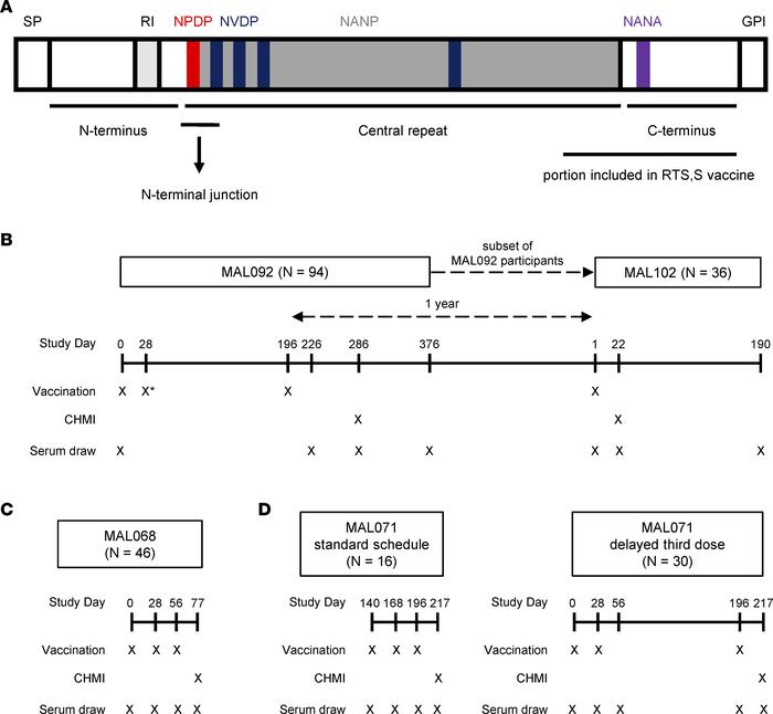 Schemas and study schedules.
(A) Schematic of different domains in PfCSP...