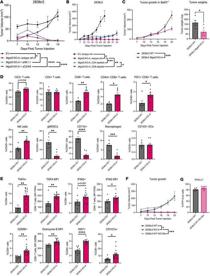 Mgat5 glycans help cancer cells evade clearance by T cells in a cell-aut...