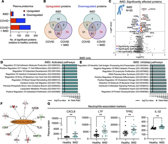 Patients with preexisting IMIDs exhibit minimal differences in basal imm...