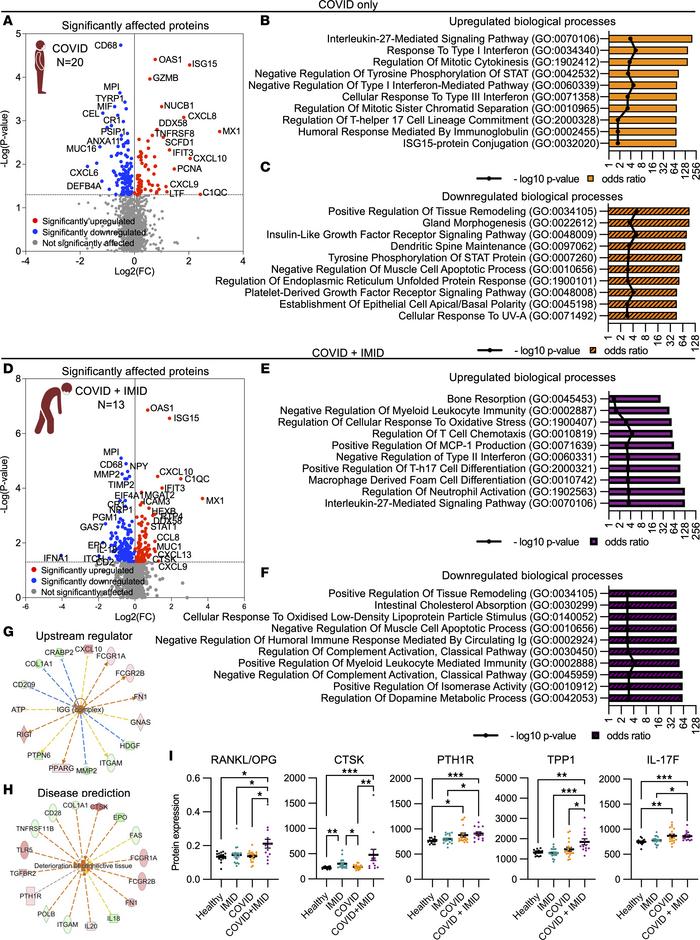 Immune dysregulation in COVID-19 patients with preexisting IMIDs.
(A) Vo...