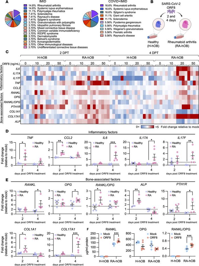 SARS-CoV-2 ORF8 treatment on primary human osteoblasts derived from pati...