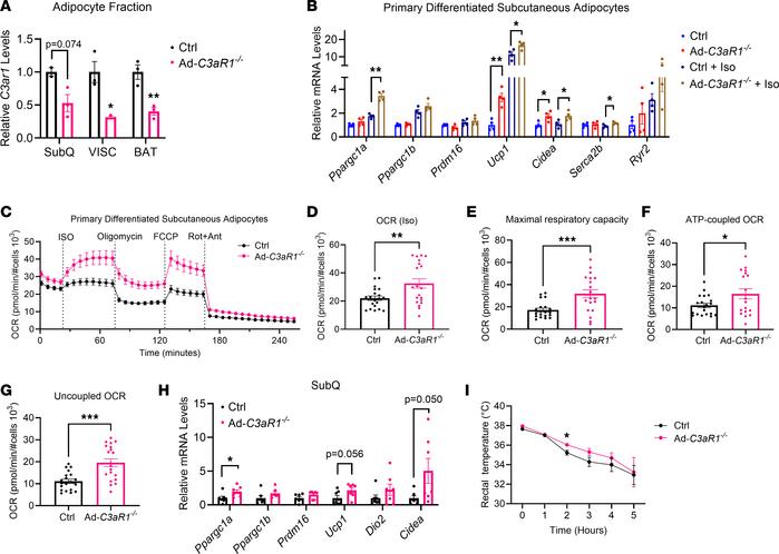 Adipocyte-specific C3aR1-KO male mice and adipose thermogenic capacity i...